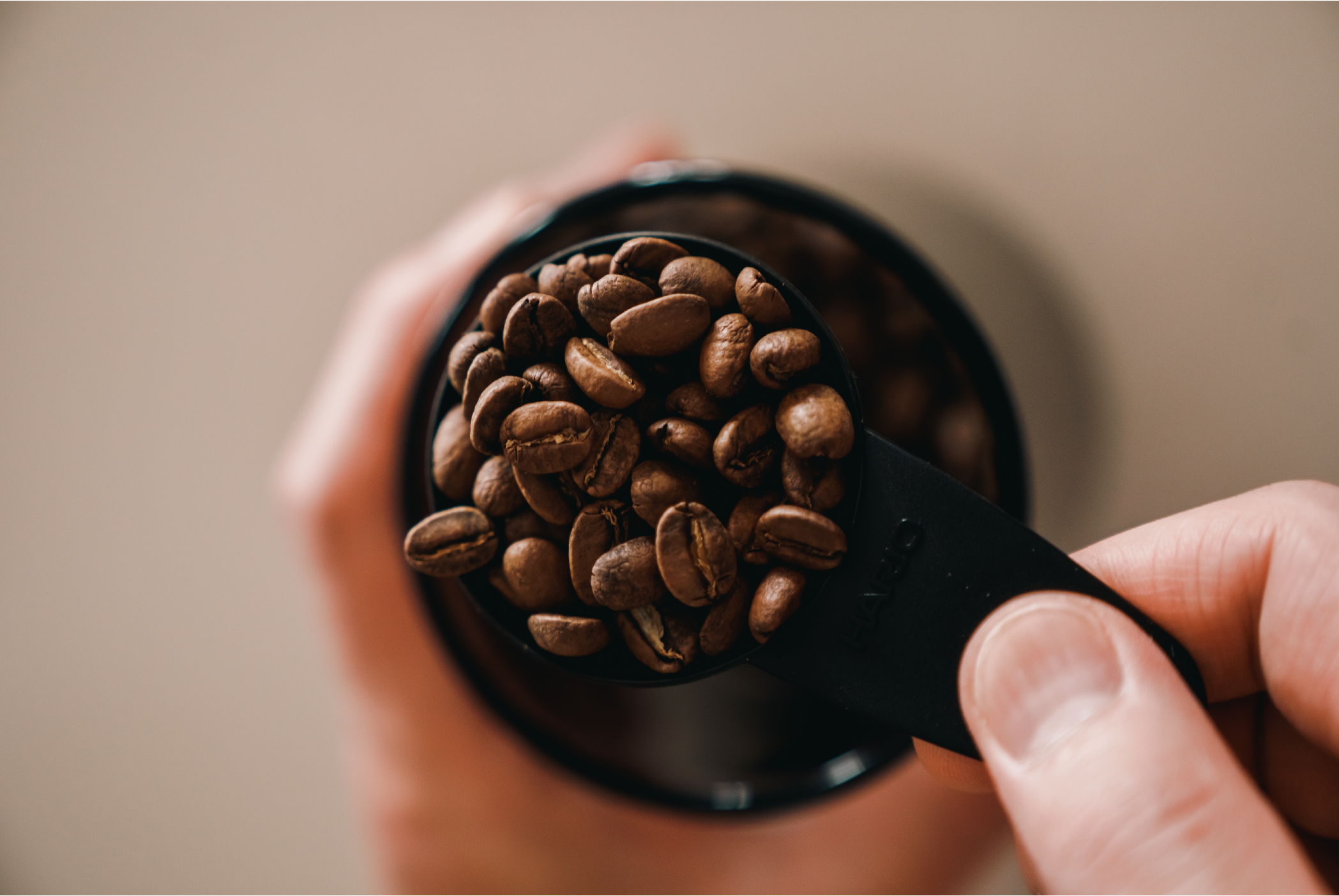 Beans. Coffee&Roasters