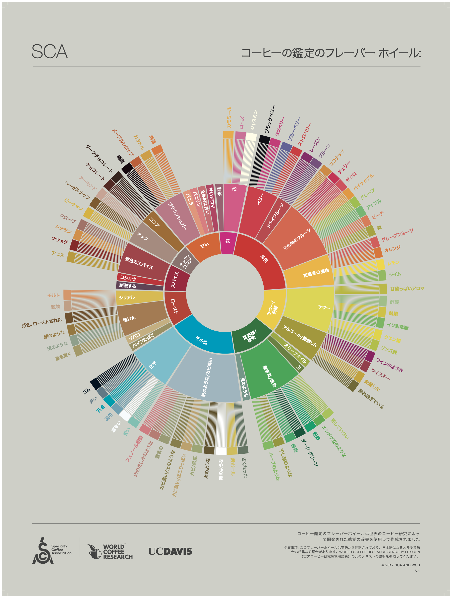 SCA Coffee Taster's Flavor Wheel (JPN 2026)